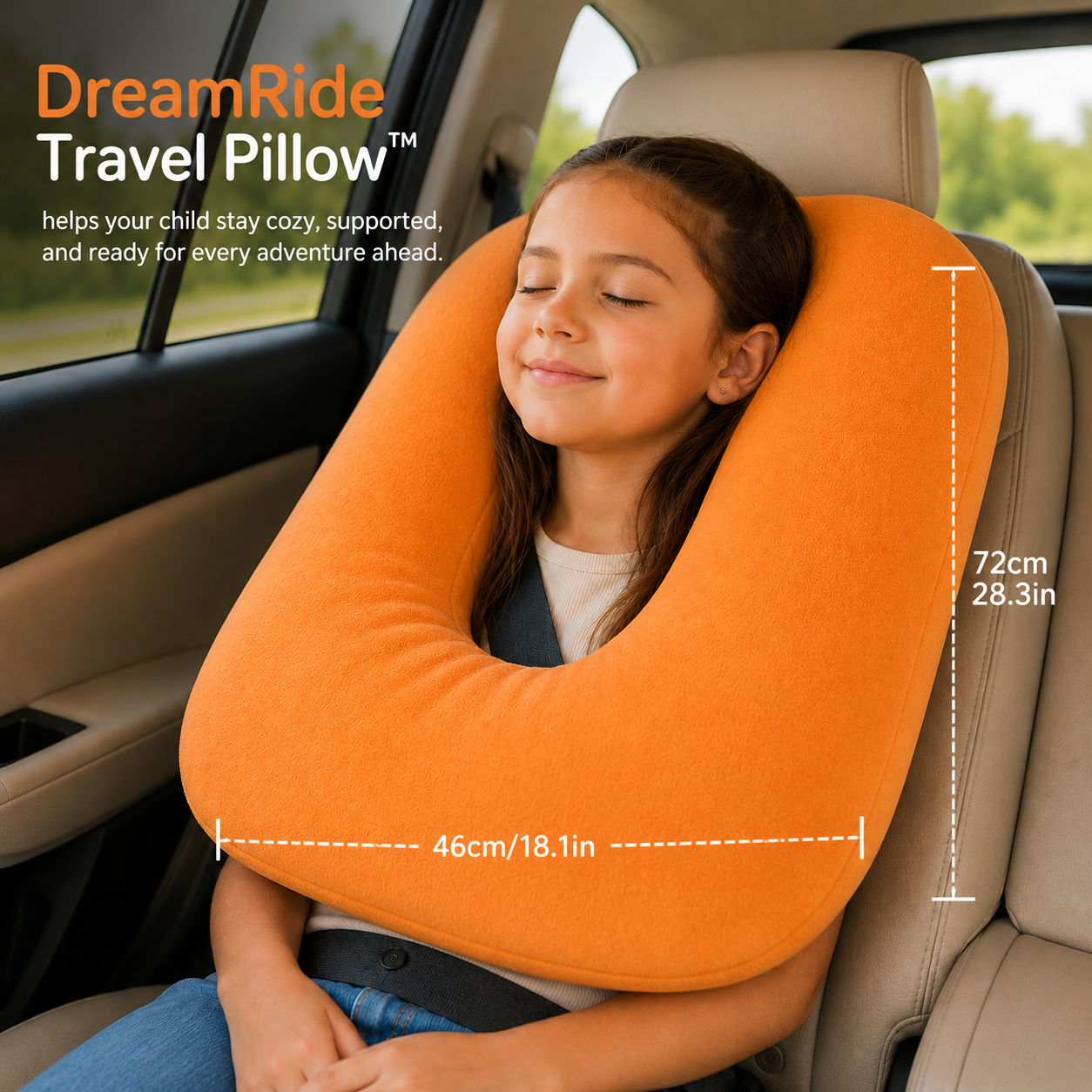 DreamRide Travel Pillow